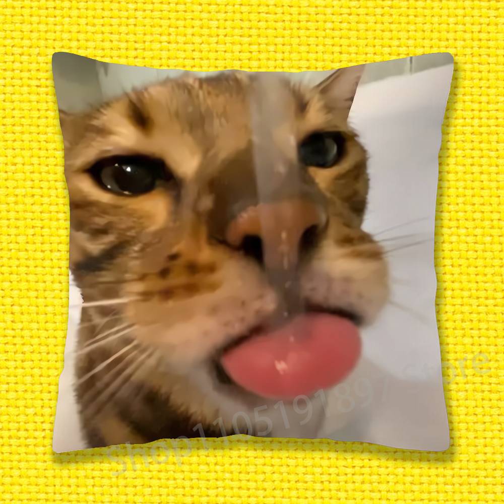 Cat Pet Cute Funny Throw Pillow Case For 45x45cm 40x40cm 30x30cm 50x50cm 55x55cm Square Home Pillowcase Case