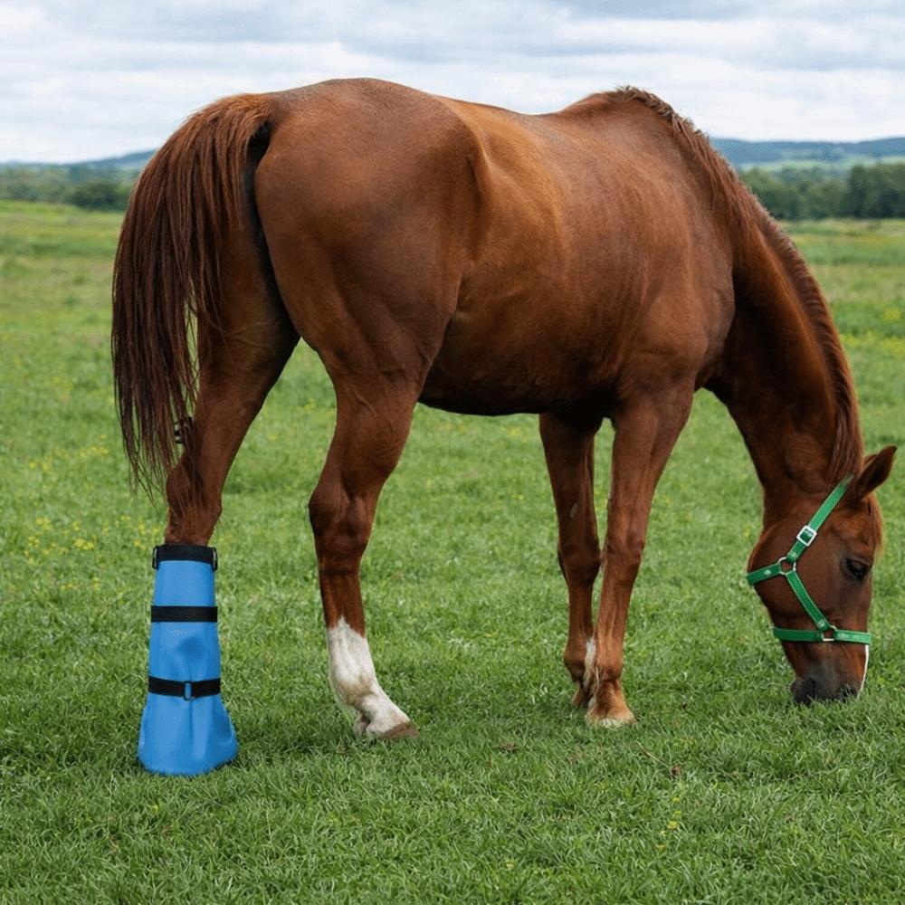 With Elastic Band Hoof Soaking Boot Adjustable Horse Hoof Boots Hoof Waterproof Bag  Stables