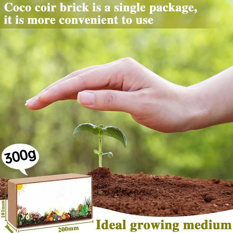 100% Bio Premium Kokosziegel, Natürliches Kokosfasermoor Substrat, Ökologisches Pflanz-Garten-Topf-Wachstumsmedium