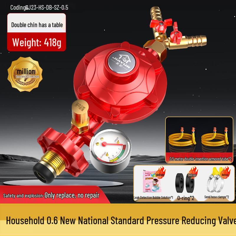 Dual Burner Explosion-Proof Gas Stove with Auto Shut-off Valve for LPG