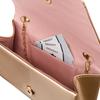 R-XS006-7301 Champagne Clutch Bag