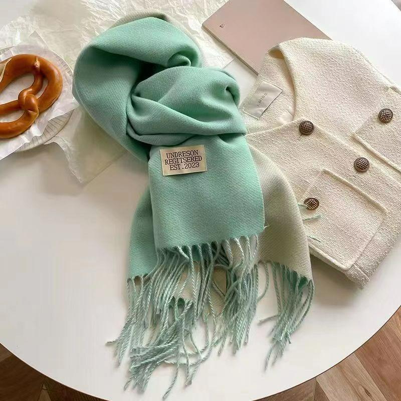 Autumn and Winter Korean Version of The Solid Color Imitation Cashmere Double-sided Tassel Scarf Female Thickened Student Dual-use Shawl Trend