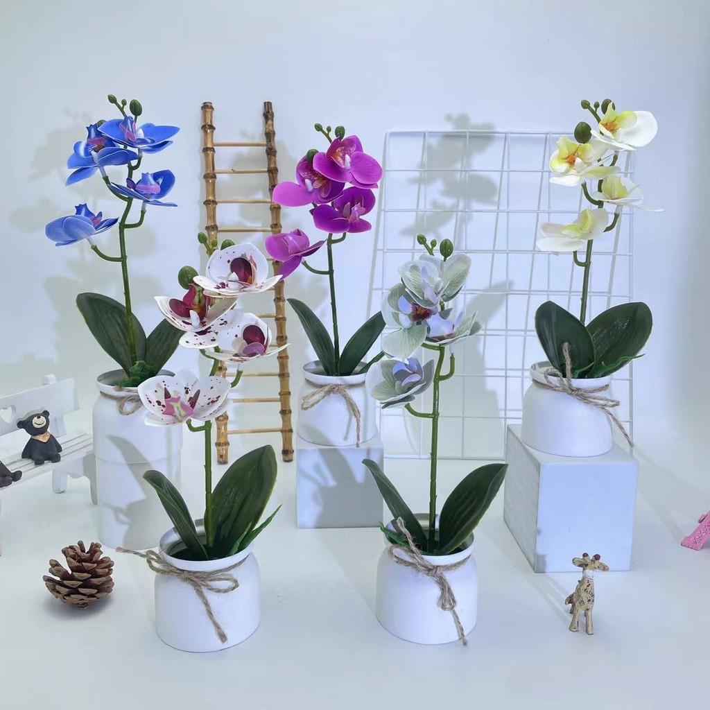 Phalaenopsis Faux Plant For Wedding Decoration And Home Indoor Display
