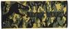 Marushin Jurassic World Face 34 X Jurassic 4985002300 Towel, 80cm, Camouflage, 100% Cotton,