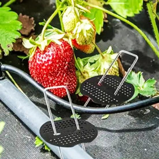 50 Buc. Țăruși de grădină cu 50 Buc. Garnituri Pini de peisaj din oțel galvanizat