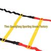 TLXT Connectable Agility Ladder