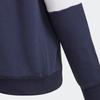 adidas Kids Sweatshirts Hooded Moderate GS8884