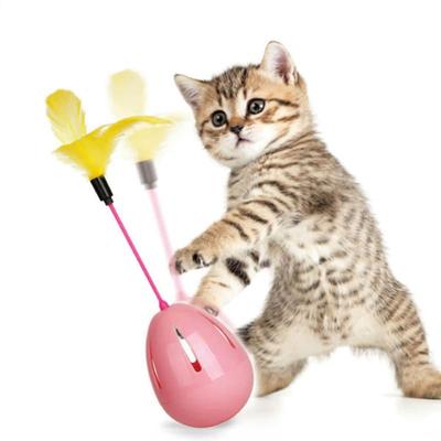 Katten – Speelgoed voor katten