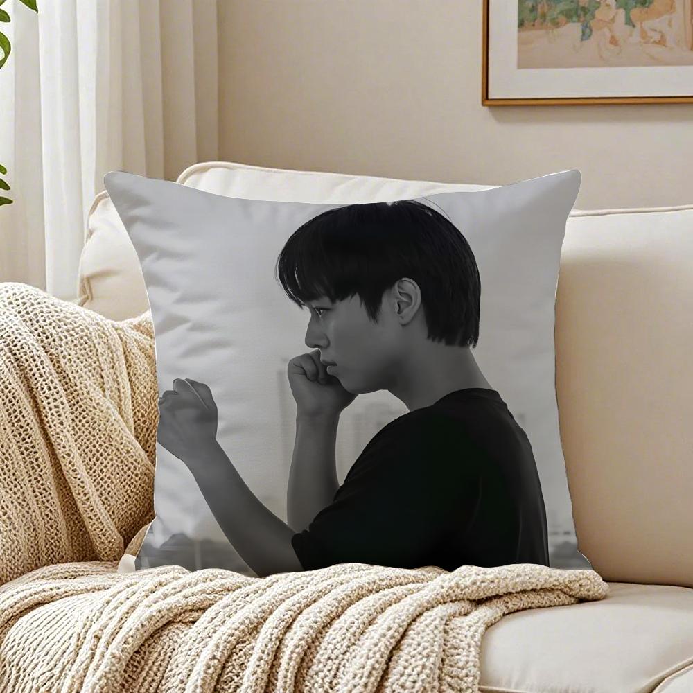 Webtoon Gritty 1 WWeak HHero Class 1 Cushion Cover Pillowcase Antidustmite living Room Sofa Decor Cushion Room