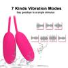 2in 1 Strong Vibrator for Women Vaginal Ball Massager Anal Clitoris Stimulator Vibrating Egg Sex Toys for Couples Adults Product