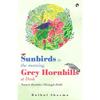 Sunbirds In The Morning, Grey Hornbills At Dusk