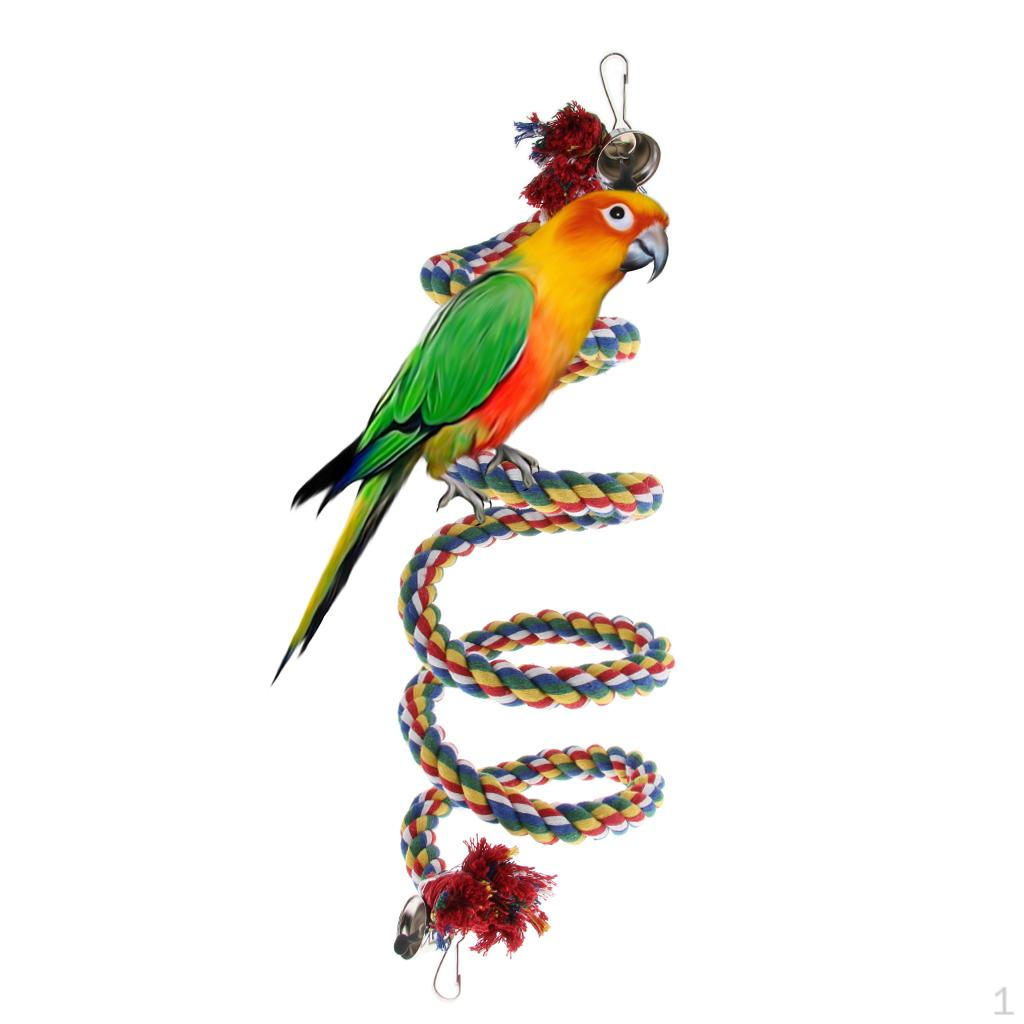 Hanging Cockatiel Birds Parrots Rope