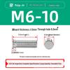 304 Stainless Steel Pressure Plate Cylindrical Head Rivet Screw (FHS-M2 M2.5 M3 M4 M5 M6 M8 M10)