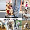 Cute Step-In PU Leather Dog Harness & Leash Set Adjustable Pet Puppy Walking Vest Lead for Small Medium Dogs