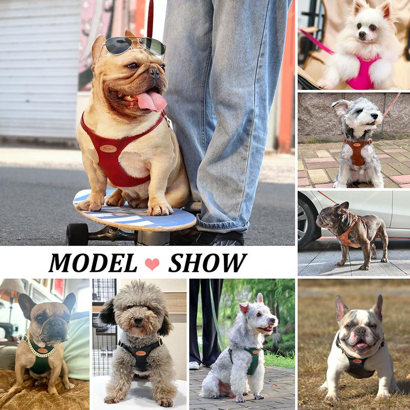 Cute Step-In PU Leather Dog Harness & Leash Set Adjustable Pet Puppy Walking Vest Lead for Small Medium Dogs