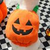Halloween Kleine und mittelgroße Hunde- und Katzen-Verwandlungskostüme Haustierkleidung Katze- und Hundekleidung Zubehör