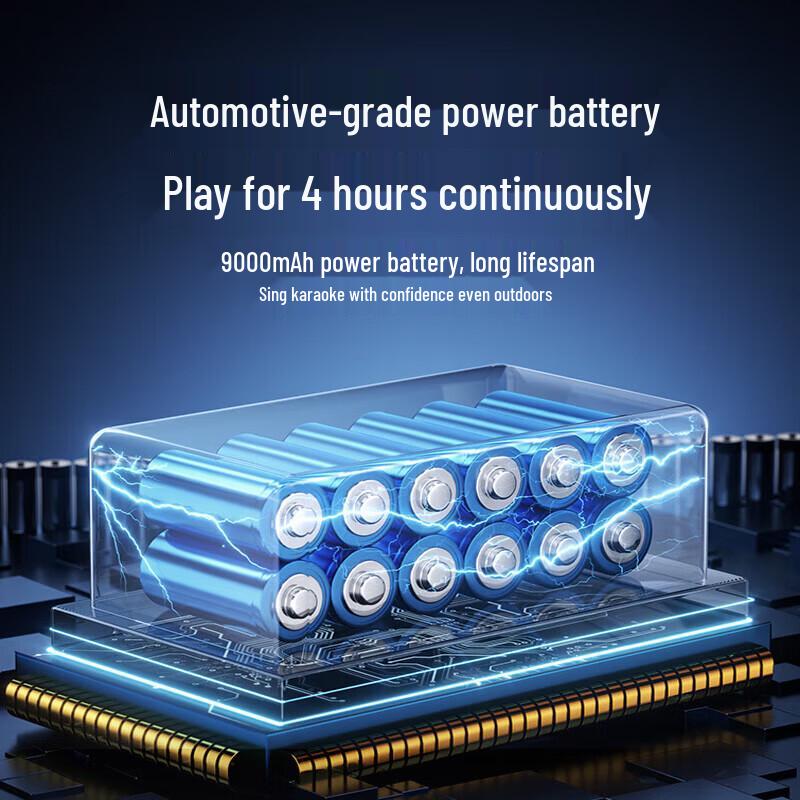 SANSUI Portable KTV Party Speaker CN Plug (adapter Included)