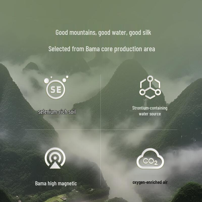 Mercury Home Textiles 100% Silk Quilt