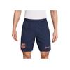 Nike FC Barcelona T90 25/26 Player Edition Training Loose Fit Football Pants Men bottoms HM3288-410