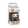 Figurine de collection - FUNKO - Hagrid Holiday - 4 cm - Porte-clés - Licence officielle