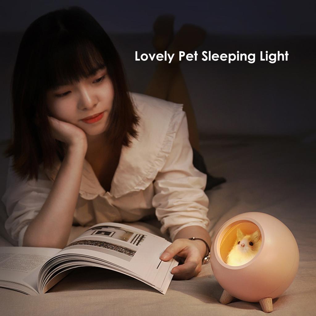 Lovely Cats House Night Lamp Children Bedroom Rechargeable Leds Sleeping Light Kids Birthday Gifts Portable Bedside Light