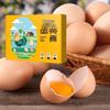 Jingshi Lutein Enriched Free-Range Eggs Gift Box