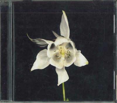 CD FRIDGE - Hapiness PCD23187 P-Vine Records 2001 Japan Dance & Electronica Used