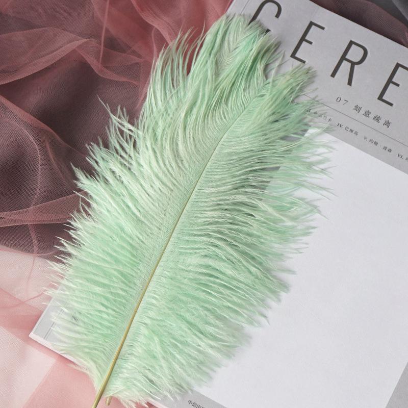 22-Color Ostrich Fur Big Feathers Wedding Background Wall Decorative Wall White Pink Feather Flower Arrangement 20-25Cm