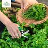 Snips Garden Secateurs Easy To Use Scissors Hot Sale Pruning Shears  Garden