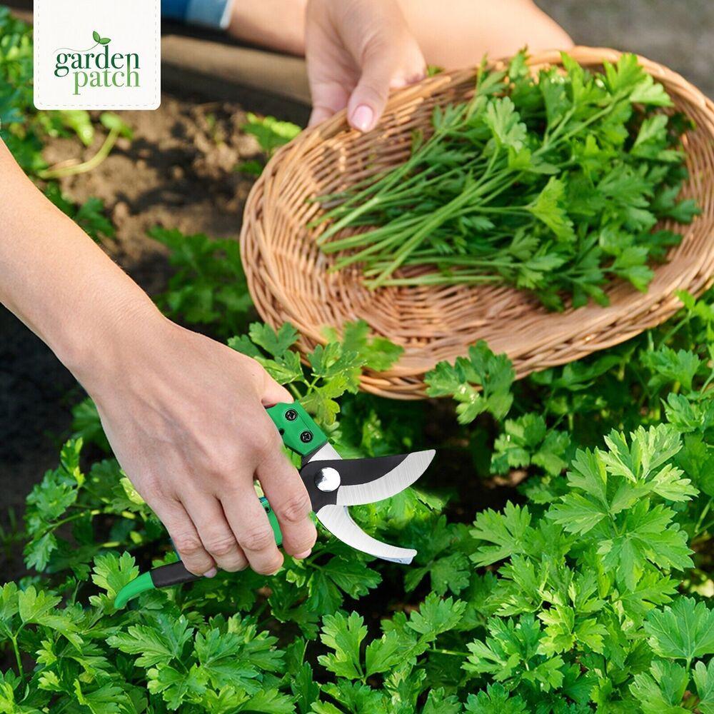 Snips Garden Secateurs Easy To Use Scissors Hot Sale Pruning Shears Garden