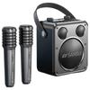 SANSUI D71 Portable Outdoor Karaoke Speaker System CN Plug (adapter Included)