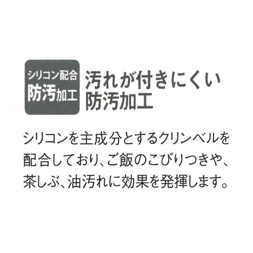 Iwasaki Kogyo Antibacterial Chopstick Case Set, Black, 22cm, Airy Style, H-582 BC