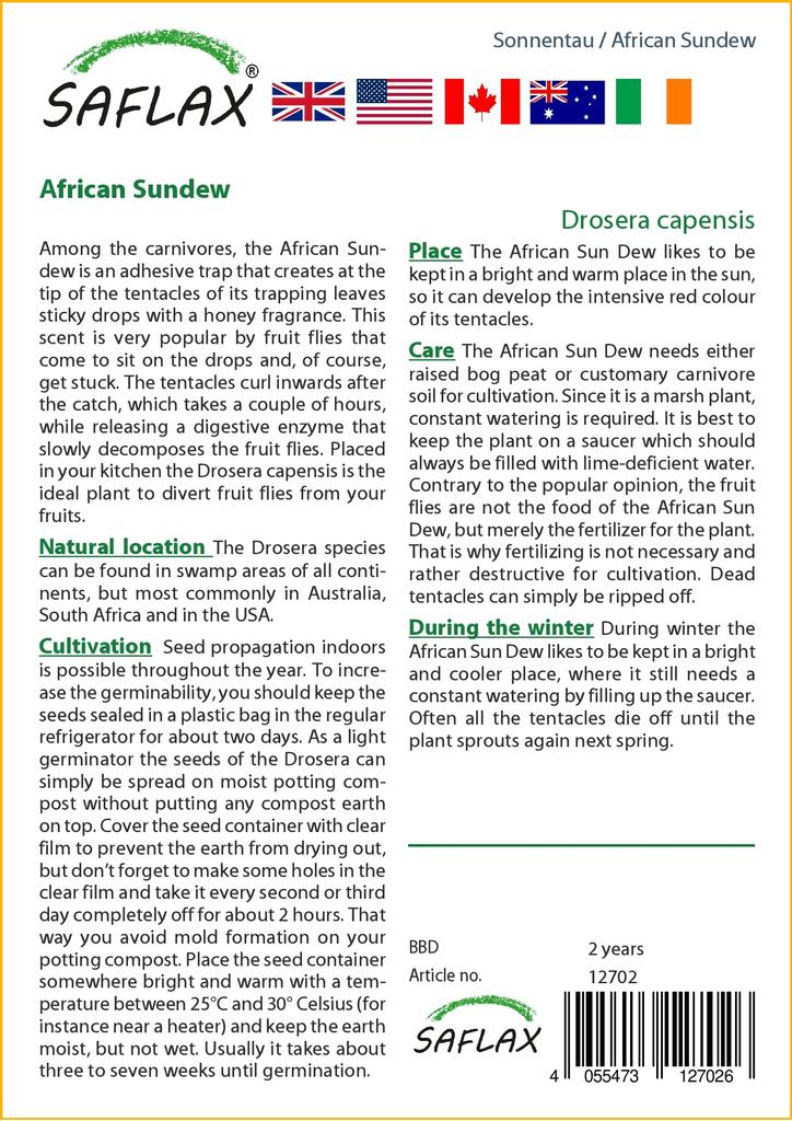 SAFLAX African Sundew - 200 Seeds - With Potting Substrate for Better Cultivation - Drosera Capensis