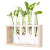 3/5 Tubes Wall Hanging Hydroponic Plant Propagation Glass Vase with Wooden Stand Desktop for Home Office Planter Garde Decor