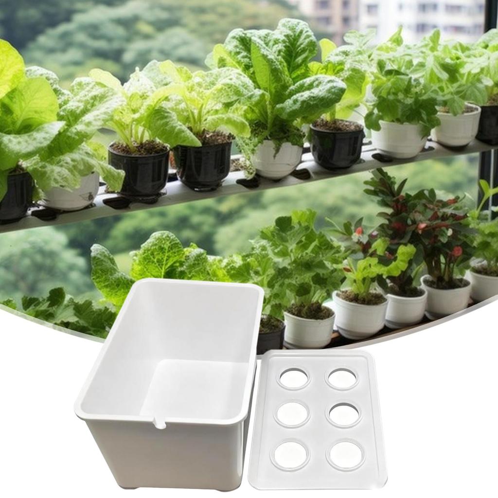 Hydroponic System 6-Holes Growing Box System Garden Cultivation Box For Vegetables Flowers Fruits Indoor Outdoor Garden