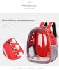 Panoramic Pet Backpack: Portable, Transparent Double Shoulder Carrier for Cats