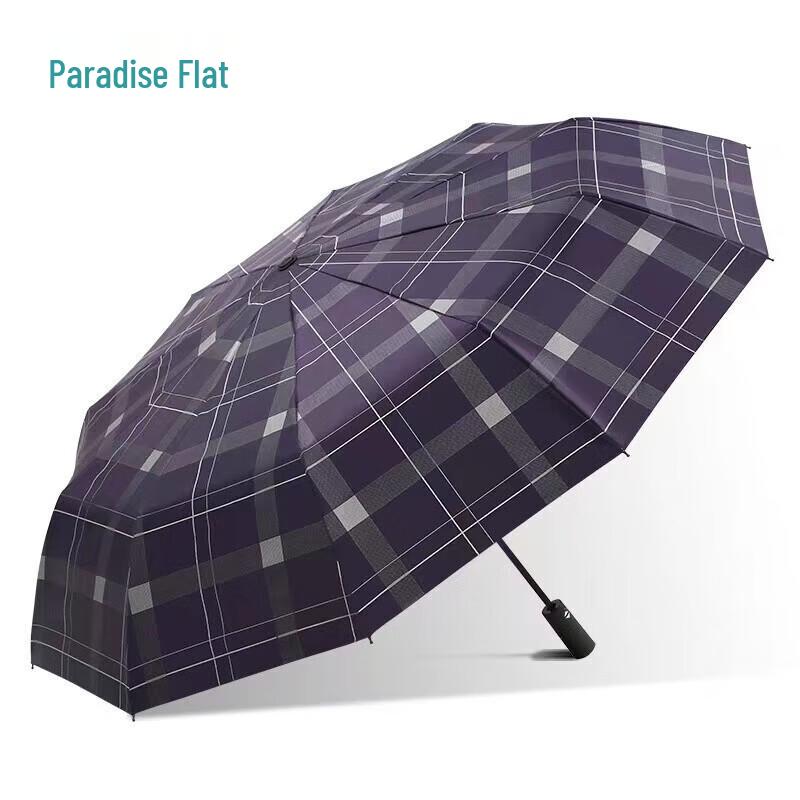 Paradise Automatic 10-Rib UV Protection Business Umbrella