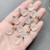 Colares de Ágata Branca Fresca de Verão Pingentes Mini Estrela Coração Cabacinho Pata de Gato Flor Saco da Sorte Forma Carnelian Natural Transparente Charms