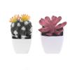 Artificial Succulents Bonsai Plants Mini Succulents Simulation Evergreen Cactus Indoor Shelf Bedroom Sill Office Home Decoration