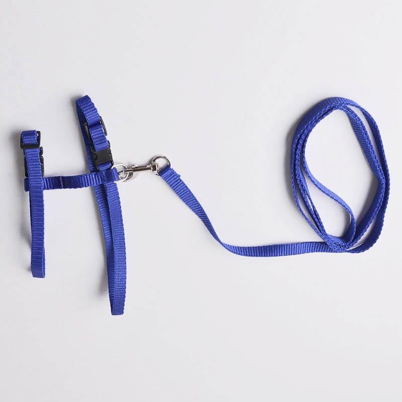 Verstellbarer Haustier-Traktionsgürtel, Katzenhalter, kleines Haustier-Hundegeschirr und Leine-Halsband