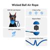 Cross-Border Electric Smart Dog Teasing Ball: Bite-Resistant E-TPU Pet Entertainment Bouncing Ball with Rope.