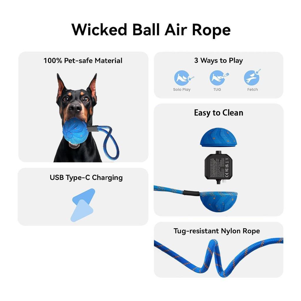Cross-Border Electric Smart Dog Teasing Ball: Bite-Resistant E-TPU Pet Entertainment Bouncing Ball with Rope.