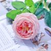 45cm Artificial Flower Austin Rose Moisturizing Interior Home Decoration Living Room Bedroom Wedding Flower Ornament