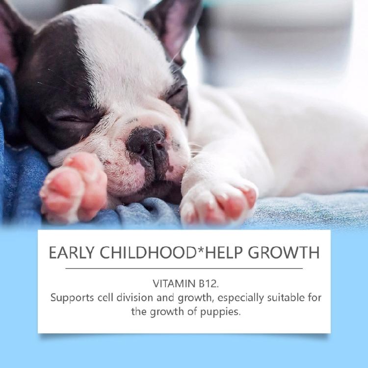 Hundegesundheitsergänzung mit Vitaminen, Mineralstoffen, Aminosäuren 80 Tabletten zur Verbesserung des Immunsystems Für Alle Rassen