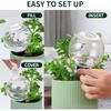 19 Oz Extra Large Plant Self Watering Globes Top Fill, Plastic Water Bulbs, Slow Release Terracotta Self Watering Planter Insert, Plant Watering