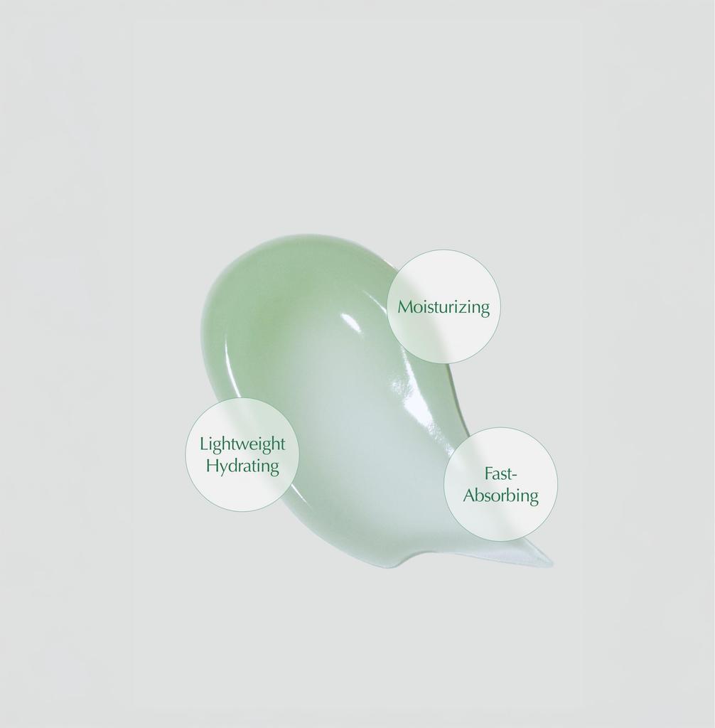 [Large Capacity] Aqua Cream 70ml - Moisturizing Gel Cream with Zero Irritation