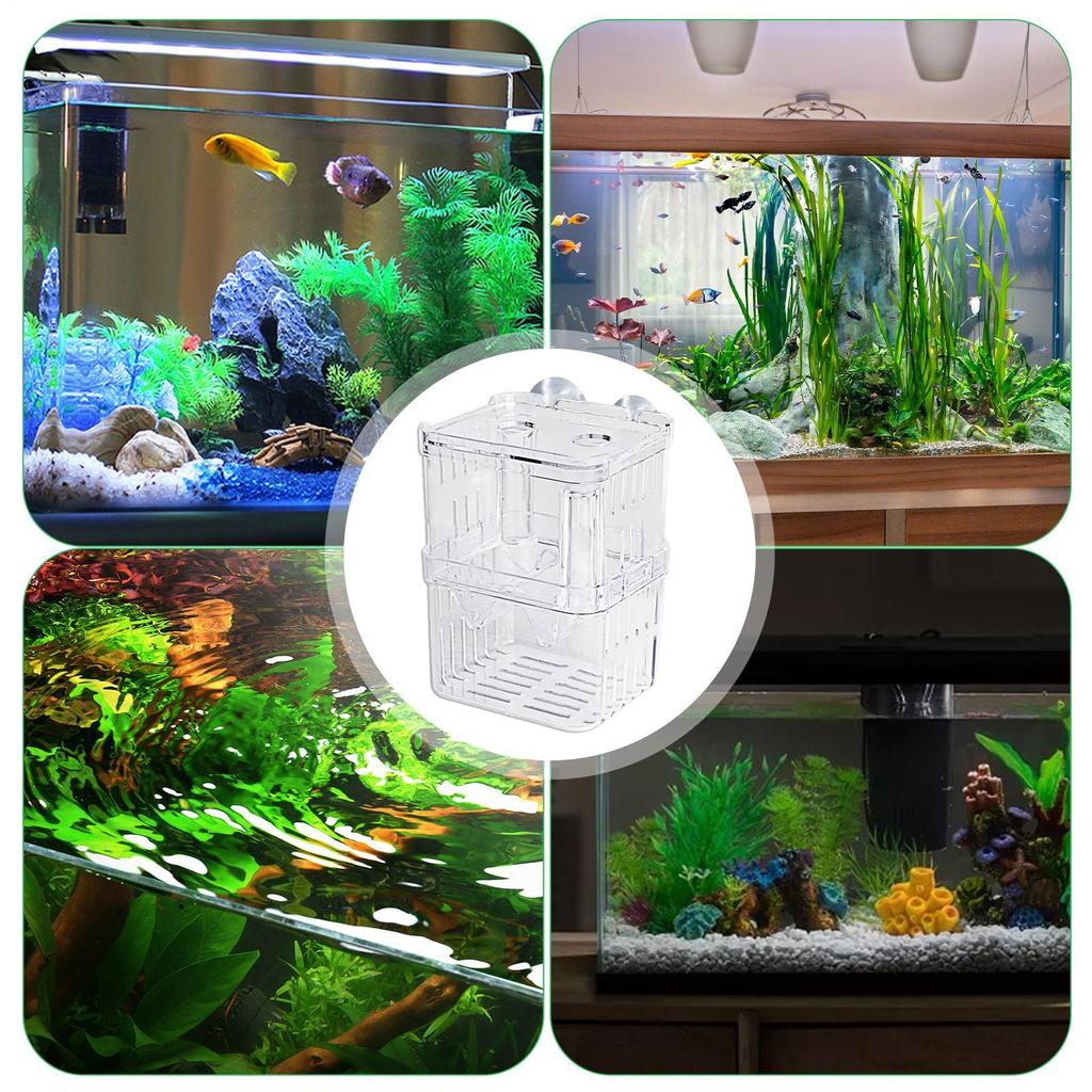 Fish Breeding Box Acrylic Hatchery Incubator Tank Fish Tank Divider Aquarium Breeder Box Fish tank breeding box