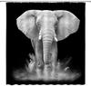 African Elephant Shower Curtain Grey Wild Animal Elephants Safari Large Powerful Animals Africa Wildlife Boys Girls Men Zoo