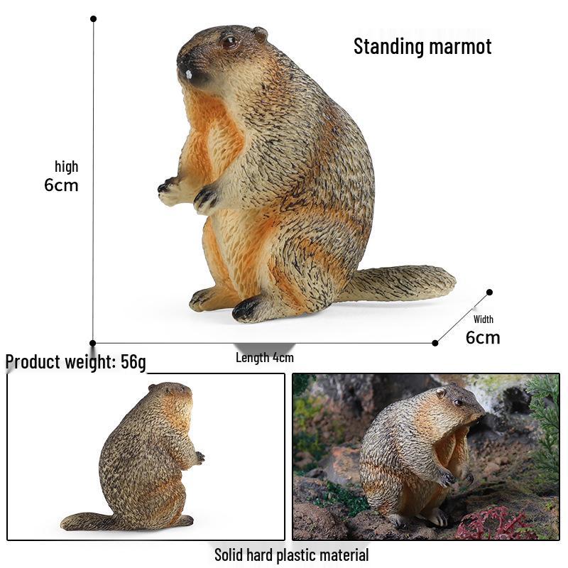 Cross-border Children s Animal Model Toy Set: Marmot, Grassland Otter, Snow Pig - Wild Animal Figures for Cognitive Play and Cake Decoration