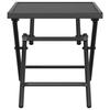 VidaXL Table de jardin pliable anthracite 38x38x38 cm Treillis d'acier 362766